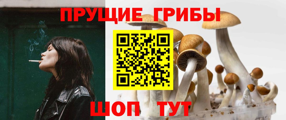 Псилоцибиновые грибы MAGIC MUSHROOMS Кимовск